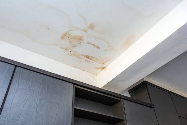 Roof Leaks & Roof Repairs